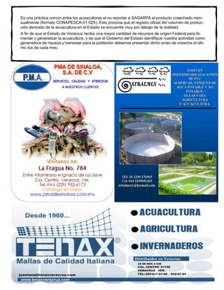 avac                                                                                  Desarrollo Acuícola 2(1)

Es una práctica común entre los acuacultores el no reportar a SAGARPA el producto cosechado men-
sualmente (formato CONAPESCA-01-025). Esto provoca que el registro oficial del volumen de produc-
ción derivado de la acuacultura en el Estado se encuentre muy por debajo de la realidad.
A fin de que el Estado de Veracruz reciba una mayor cantidad de recursos de origen Federal para fo-
mentar y generalizar la acuacultura, y de que el Gobierno del Estado identifique nuestra actividad como
generadora de riqueza y bienestar para la población debemos presentar dicho aviso de cosecha el últi-
mo día de cada mes.
 