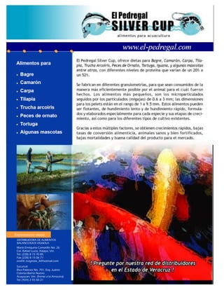 Desarrollo Acuícola 2(1)                   avac




   María Enriqueta Camarillo No. 26
   Col. Rafael Lucio, Xalapa, Ver.
   Tel. (228) 8 15 70 85
   Fax (228) 8 15 06 71
   em@il: evignola_3@hotmail.com
   Sucursal:
   Riva Palacios No. 701, Esq. Juárez
   Colonia Barrio Nuevo
   Acayucan, Ver. (frente a la Arrocera)
   Tel. (924) 2 45 50 21
 