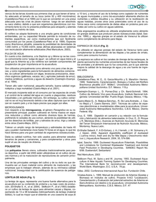 Desarrollo Acuícola 2(1)                                       4                                                          avac
vencia de las larvas durante sus primeros días ya que tienen el tama-    a 10 ton), y resume el uso de la lenteja como captador de nutrientes
ño adecuado al tamaño de su boca (entre 92 y 400 micrómetros)            de aguas municipales y como bio-acumulador altamente efectivo de
(Castellanos-Páez et al,1999) por lo que se convierten en una presa      nutrientes y sólidos disueltos y su utilización en la reutilización de
adecuada para las crías de peces marinos luego de ser absorbido          aguas tratadas, provee otros usos potenciales como el uso de su
su saco vitelino; debido a que son organismos planctónicos con mo-       forma seca como componente de dietas altas en proteína para ani-
vimiento lento la cría no presenta problemas para atraparlo y además     males así como su cultivo en aguas salobres.
despierta su instinto de caza.
                                                                         Esta angiosperma acuática es utilizada ampliamente como alimento
El rotífero se adapta fácilmente a una amplia gama de condiciones        en granjas asiáticas que producen peces dulceacuícolas (Iqbal, Sas-
ambientales, por su capacidad filtrante permite la inclusión de nu-      cha. 1999) y algunas granjas en el estado de Veracruz la utilizan
trientes específicos, así como medicamentos que son fácilmente           como complemento de alimento para tilapia.
consumidos por los peces (Castellanos-Páez et al, 1999). Especies
como Brachionus plicatilis, presenta la posibilidad de densidades de
1,000 ind/ml, a 15,000 ind/ml, estas últimas alcanzadas en sistemas      ESPINACA DE AGUA (Fig. 2)
con recirculación altamente sofisticados (Red Mariculture, 2003).   Es utilizada en algunas granjas del estado de Veracruz tanto para
PULGA DE AGUA                                                       complementar la alimentación de las tilapias y los peces de ornato,
En cuanto a los cladóceros, a la Daphnia sp y Moina sp se les cono- como para consumo humano.
ce comúnmente como “pulga de agua”, se cultivan en agua dulce y al La espinaca se cultiva en los canales de drenaje de los estanques, la
igual que la Artemia sp y los rotíferos son también componentes del planta aprovecha los nutrientes provenientes de las heces fecales de
zooplancton de gran importancia en la acuacultura.                  los animales y el alimento que no fue consumido, por lo que además
Son utilizados principalmente como alimento vivo para crías de pe-  mejora la calidad de la descarga de agua y es una fuente de ingre-
ces, y como ingredientes para la formulación de alimentos comercia- sos extra.
les; se cultivan alimentados con algas, levaduras protozoarios, dese-
chos orgánicos (gallinaza, vacaza, etc.), agrícolas (salvado de arroz), BIBLIOGRAFIA
medios sintéticos, químicos y aguas de desecho (Castrejón-Ocampo Castellanos-Páez, M. E., G. Garza-Mouriño y S. Marañón- Herrera.
et al, 1994).                                                             1999. “Aislamiento, Caracterización, Biología y Cultivo del Rotífero
Tienen alto valor nutricional, pequeño tamaño, buena calidad orga-        Brachionus plicatilis (O.F. Müller)”. Universidad Autónoma Metro-
                                                                          politana Unidad Xochimilco. D.F. México. 119 p
noléptica y baja mortalidad (Castro-Mejía et al, 2001).
El mercado incipiente está en el consumo por las especies de ornato Castrejón-Ocampo L., D. Porras-Díaz y Ch. Band-Schmidt. 1994.
y el control de la calidad del agua en cuanto a plaguicidas, residuos     Cultivo de Alimento Vivo para Acuacultura. Instituto Nacional Indi-
industriales y en particular mercurio, Sin embargo, su cultivo comer-     genista- Universidad del Mar. Puerto Ángel, Oaxaca, México. 118p.
cial no se ve muy favorecido debido a las altas capturas que se reali- Castro-Mejía G., A. Malpica-Sánchez., R. De Lara-Andrade., J. Cas-
zan en nuestro país y a los bajos precios que pagan por ellas.          tro Mejía y T. Castro Barrera. 2001. Técnicas de cultivo de espe-
MICROGUSANOS                                                            cies planctónicas e invertebrados útiles para la acuicultura. Univer-
Con respecto a los microgusanos, el género Panagrellus es su re-        sidad Autónoma Metropolitana Xochimilco, C.B.S. México, Distrito
presentante principal; pueden cultivarse en forma masiva en espa-       Federal. 65p
cios reducidos y utilizar como alimento diversos tipos de harinas, Cruz, E. 1999. Digestión en camarón y su relación con la formula-
prefiriendo lo cereales de uso común, abriendo la posibilidad de utili- ción y fabricación de alimentos balanceados. In Cruz, E., D. Ricque
zar los desechos de tortillas, pan y salvados de arroz, trigo y cebada  y R. Mendoza (Eds.), Avances en Nutrición Acuícola III. Memorias
entre otros (Castro-Mejía, 2001).                                       del Tercer Simposium Internacional de Nutrición Acuícola. México,
Toleran un amplio rango de temperatura y salinidades de hasta 40        Monterrey, Nuevo León.
ups y pueden mantenerse vivos hasta 72 horas en el agua, lo que los El-Shafai SaberA, F. A El-Gohary, J. A J Verreth, J. W. Schrama y H.
hace idóneos para una gran cantidad de organismos dulceacuícolas.     J Gijzen. 2004. Apparent digestibility coefficient of duckweed
Dada su calidad nutritiva, han sido usados para alimentar estadios    ( Lemna minor), fresh and dry for Nile tilapia ( Oreochromis niloti-
larvarios de peces y camarones, y para complementar y otros para      cus L.) Aquaculture Research, 2004, 35, 574-586.
suplir el uso de nauplio de Artemia.                                    Iqbal, Sascha. 1999. Duckweed Aquaculture Potentials, Possibilities
                                                                          and Limitations for Combined Wastewater Treatment and Animal
POLIQUETOS
                                                                          Feed Production in Developing Countries. SANDEC Report No.
Los poliquetos Nereis virens, cultivados tradicionalmente para pes-       6/99. Duebendorf, Switzerland
ca deportiva, a partir del 2000 están utilizándose en el cultivo de pe-
ces marinos y en la maduración de reproductores de camarón princi- Red Mariculture, 2003
palmente.                                                               Skillicorn Paul, W. Spira y and W. Journey. 1993. Duckweed Aqua-
Una de las principales ventajas del cultivo y de su éxito es que de-      culture A New Aquatic Farming System for Developing Countries.
muestra ser un buen material como alimento de maduración, y las           The International Bank for reconstrucción and developement.
empresas que lo trabajan ofrecen, además de su intrínseca calidad         World Bank. Washington, D.C. U.S.A. 78 pp.
nutricional, bioseguridad con la certificación de ausencia de patóge- Vélez. 2002. Conferencia Internacional Aqua Sur. Fundación Chile.
nos.
                                                                           Vinatea-Arana, L. 1999. Manual de producción de Artemia (Quistes y
LENTEJA DE AGUA (Fig. 1)                                                     Biomasa) en módulos de cultivo. Proyecto II-A/2 “Localización,
La lenteja de agua, representa una buena fuente alternativa para la          Caracterización y Evaluación del potencial extractivo de Artemia en
acuacultura por su contenido de proteína y su bajo costo de produc-          Ibero-América con destino a la acuacultura. Universidad Autónoma
ción. (El-Shafai S. A., et al, 2004). Skillicorn P., et al (1993) estable-   Metropolitana. Xochimilco, C.B.S. México, D.F. 47
ce un cultivo de lenteja de agua para alimentar carpas y tilapias, co-
sechando de 13 a 38 toneladas métricas/ha/año de lenteja (material
Sólido), lo cual es mayor que el obtenido en una cosecha de soya (6
 
