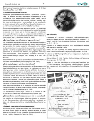 Desarrollo Acuícola 2(1)                                        6                                                         avac
En el caso de la especie Brachionus plicatilis no pasan de 30 días
(Castellanos-Páez et al., 1999).
¿Cómo se reproducen los rotíferos?
Existen dos tipos de hembras las amícticas y las mícticas y los ma-
chos. Las hembras amícticas, asexuales o partenogenéticas se re-
producen de forma asexual teniendo hijas iguales a ellas y sin la
intervención de los machos. Las hembras mícticas o sexuales pue-
den cruzarse con los machos y como resultado de esta reproducción
se tienen machos si la hembra no fue fecundada y hembras con nue-
va información genética si la hembra madre fue fecundada.
En muchas especies es raro que aparezcan machos y en otras no se
conocen. Los machos son mucho más pequeños que las hembras de
su especie, viven menos que las hembras y pueden considerarse
como sacos de esperma ya que su cuerpo solo está constituido por BIBLIOGRAFIA
la corona, un pie y su cavidad corporal casi llena por sus testículos y
pene (Segers, 1997; Castellanos-Páez et al., 1999).                     Castellanos, M. E.; G. Garza y S. Marañon. 1999. Aislamiento, carac-
¿Qué papel juegan los rotíferos en el lugar donde viven?                terización, biología y cultivo del rotífero Brachionus plicatilis (O. F.
                                                                        Müller). Libros de Texto. Universidad Autónoma Metropolitana. Méxi-
Los rotíferos son altamente productivos ya que se pueden reproducir
                                                                        co, D. F. 119 Pp.
rápidamente y sus tasas reproductivas son altas si las condiciones
son favorables. Así, pueden ocupar los nichos vacíos de los habitats Cognetti, G., M. Sará y G. Magazzú. 2001. Biología Marina. Editorial
en donde se encuentren, convirtiendo la producción primaria de fito- Ariel. Barcelona, España. 619 Pp.
plancton y bacterias en producción secundaria disponible para otros Green, Jim. 2001. Variability and stability of plankton rotifer associa-
predadores al convertirse en alimento para pequeños carnívoros tion in Lesotho Southern Africa. Hydrobiologia (446-447): 187-194
como los copépodos, larvas de peces y crustáceos, renacuajos y Lubzens, E, 1987. Raising rotifers for use in aquaculture. Hydrobiolo-
aves como los flamingos (Segers, 1997, Nogrady, et al., 1993, Gre- gia (147): 245-255
en, 2001).
                                                                        Ruttner-Kolisko, A. 1974. Plankton Rotifers. Biology and Taxonomy.
En ecosistemas de agua dulce pueden llegar a conformar hasta un Binnengewsser 26 (1): 1-146.
30% de la biomasa total del plancton (Nogrady, et al., 1993).
                                                                        Segers, H. 1996-1997. Introduction to the practice of identifying RO-
¿En la acuicultura para que sirven los rotíferos?                       TIFERA. International Training Course. Lake Zooplankton: A tool in
Cuando cultivamos algún organismo acuático el alimento es uno de lake management. Universiteit Gent. Universidad de Gent, Bélgica.
los principales factores para que crezcan y se mantengan con buena 68 Pp.
salud y aunque existen muchos alimentos artificiales de marca o
preparados por los acuacultores, el alimento vivo es muy importante
para los organismos en sus primeras etapas de desarrollo ya que es
un alimento natural. Por esa razón, en muchos cultivos se acostum-
bra fertilizar los estanques para que el agua se ponga verde y en ella
aunque no lo veamos a simple vista podemos encontrar plantas y
animales microscópicos que sirven como alimento y ayudan a que se
mantenga en buenas condiciones el agua del estanque.
En la mayoría de los casos, en los estanques de cultivo en donde se
cultivan organismos de agua dulce podemos encontrar varias espe-
cies de rotíferos (Castellanos-Páez et al., 1999).
Las densidades que pueden llegar a tenerse en los sistemas de culti-
vo van de 50,000 a 500 000 individuos por litro (Lubzens, 1987).
¿Cómo se llaman los rotíferos que se usan más en acuicultura?
Las especies de rotíferos de agua dulce más utilizados en acuicultu-
ra son: Brachionus rubens y Brachionus calyciflorus y la especie sa-
lobre más utilizada es Brachionus plicatilis (Castellanos-Páez et al.,
1999).
¿Cuál es la especie de rotíferos más estudiada?
Brachionus plicatilis porque es el rotífero mas utilizado en la acuicul-
tura en el mundo entero, se usa para alimentar a larvas de varias
especies de camarón de mar y para los alevines de peces de agua
de mar y salobre (Castellanos-Páez et al., 1999).
 