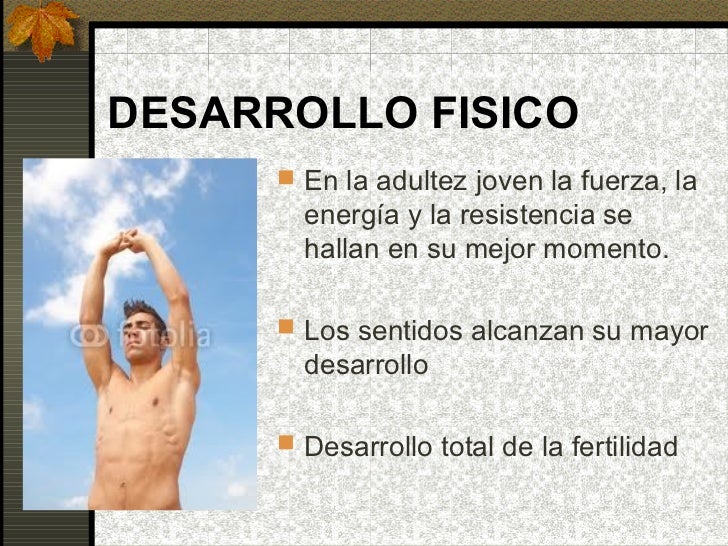 Desarrollo adulto