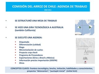 Desarrollo agricola y cadenas productivas una perspectiva latinoamericana