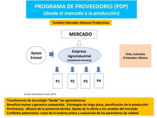 Desarrollo agricola y cadenas productivas una perspectiva latinoamericana