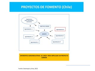 Desarrollo agricola y cadenas productivas una perspectiva latinoamericana