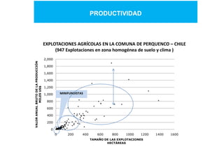 Desarrollo agricola y cadenas productivas una perspectiva latinoamericana