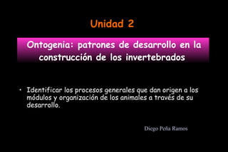 Ontogenia: patrones de desarrollo en la construcción de los invertebrados  ,[object Object],Unidad 2 Diego Peña Ramos 