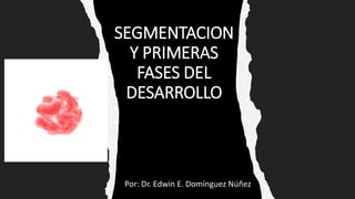 SEGMENTACION
Y PRIMERAS
FASES DEL
DESARROLLO
Por: Dr. Edwin E. Domínguez Núñez
 