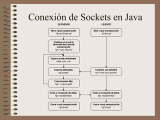 Conexión de Sockets en Java
 