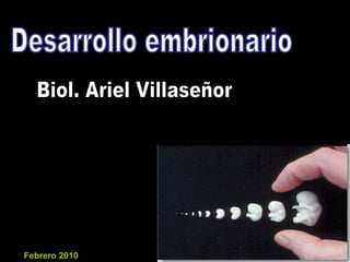 Desarrollo embrionario Biol. Ariel Villaseñor Febrero 2010 