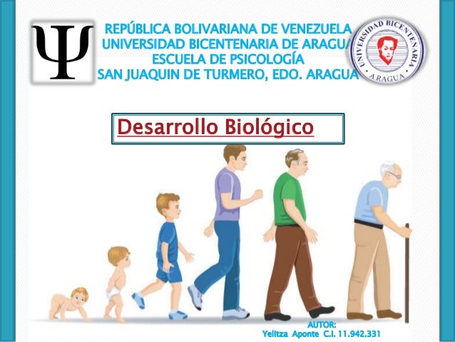 Qué Es El Desarrollo Biológico Humano