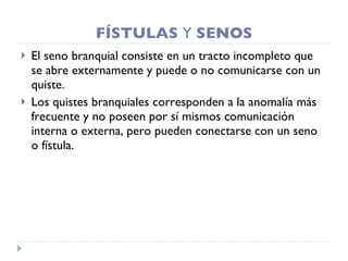 FÍSTULAS  Y  SENOS El seno branquial consiste en un tracto incompleto que se abre externamente y puede o no comunicarse con un quiste. Los quistes branquiales corresponden a la anomalía más frecuente y no poseen por sí mismos comunicación interna o externa, pero pueden conectarse con un seno o fístula. 