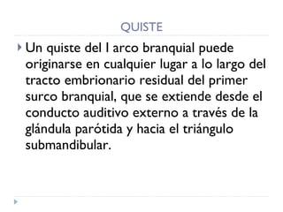 QUISTE Un quiste del I arco branquial puede originarse en cualquier lugar a lo largo del tracto embrionario residual del primer surco branquial, que se extiende desde el conducto auditivo externo a través de la glándula parótida y hacia el triángulo submandibular.  