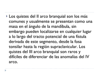 Los quistes del II arco branquial son los más comunes y usualmente se presentan como una masa en el ángulo de la mandíbula, sin embargo pueden localizarse en cualquier lugar a lo largo del tracto potencial de una fístula derivada de este segmento, desde la fosa tonsilar hasta la región supraclavicular. Los quistes del III arco branquial son raros y difíciles de diferenciar de las anomalías del IV arco. 