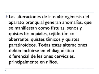 Las alteraciones de la embriogénesis del aparato branquial generan anomalías, que se manifiestan como fístulas, senos y quistes branquiales, tejido tímico aberrante, quistes tímicos y quistes paratiroídeos. Todas estas alteraciones deben incluirse en el diagnóstico diferencial de lesiones cervicales, principalmente en niños. 