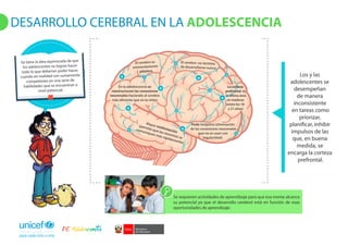Desarrollo cerebral en la adolescencia  ccesa007