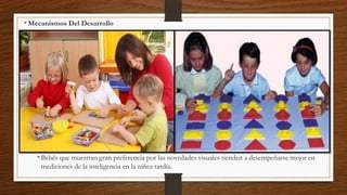• Mecanismos Del Desarrollo
• Comprender los mecanismos es importante porque ellos pueden ayudarnos a explicar los varios
desarrollos que se describen.
• La cuestión de los mecanismos es similar a la de las etapas, por cuanto podemos distinguir entre
orientaciones de dominio-específico y de dominio-general.
• Los mecanismos evolutivos principales de cualquier adquisición privilegiada y putativamente natural,
como el desarrollo del lenguaje
• Influencias Socioculturales
• No todos los mecanismos del desarrollo cognitivo están situados en el niño.
• Adquieren conocimientos y habilidades al participar en actividades socialmente estructuradas junto
con sus padres y otros adultos y niños.
• Aprenden en contextos específicos a través de la participación guiada en el que los otros les
proporcionan varios tipos de ayuda, de acuerdo al nivel actual de conocimientos y habilidades.
• Diferencias Individuales
• Bebés que muestran gran preferencia por las novedades visuales tienden a desempeñarse mejor en
mediciones de la inteligencia en la niñez tardía.

 