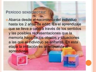 PERÍODO SENSOMOTRIZ:
 Abarca desde el nacimiento del individuo
hasta los 2 años de edad. Es el aprendizaje
que se lleva a cabo a través de los sentidos
y las posibles representaciones que la
memoria haga de los objetos y situaciones
a las que el individuo se enfrenta. En esta
etapa la imitación es la respuesta al
aprendizaje.
 