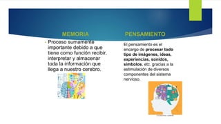 MEMORIA PENSAMIENTO
• Proceso sumamente
importante debido a que
tiene como función recibir,
interpretar y almacenar
toda la información que
llega a nuestro cerebro.
El pensamiento es el
encargo de procesar todo
tipo de imágenes, ideas,
experiencias, sonidos,
símbolos, etc. gracias a la
estimulación de diversos
componentes del sistema
nervioso.
 