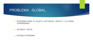 PROBLEMA GLOBAL.
 ENTENDER COMO EL SUJETO CAPTURA EL OBJETO Y LO LOGRA
COMPRENDER.
 ESTIMULO DISTAL
 ESTIMULO PROXIMAL.
 