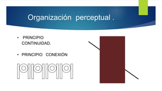 Organización perceptual .
• PRINCIPIO
CONTINUIDAD.
• PRINCIPIO CONEXIÓN
 