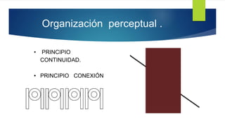 Organización perceptual .
• PRINCIPIO
CONTINUIDAD.
• PRINCIPIO CONEXIÓN
 