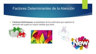 Factores Determinantes de la Atención
 Factores Extrínsecos: propiedades de los estímulos que capturan la
atención del sujeto en mayor medida que otras.
 