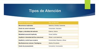 Tipos de Atención
Criterios de Clasificación Tipo de Atención
Mecanismos implicados Selectiva, Dividida, Sostenida
Grado de control voluntario Involuntaria, Voluntaria
Origen y naturaleza del estímulo Externa, Interna
Modalidad sensorial implicada Visual, Auditiva
Amplitud e intensidad del foco atencional Global, Local (selectiva)
Amplitud y control que se ejerce Concentrada, Dispersa o difusa
Manifestaciones motoras / fisiológicas Abierta, Encubierta
Grado de procesamiento Consciente, Inconsciente
 