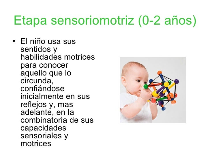 Desarrollo cognitivo según piaget