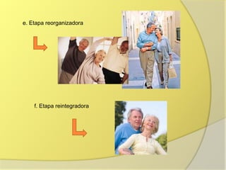 e. Etapa reorganizadora
f. Etapa reintegradora
 