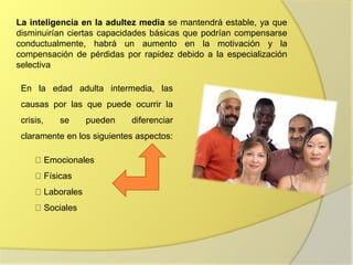 La inteligencia en la adultez media se mantendrá estable, ya que
disminuirían ciertas capacidades básicas que podrían compensarse
conductualmente, habrá un aumento en la motivación y la
compensación de pérdidas por rapidez debido a la especialización
selectiva
En la edad adulta intermedia, las
causas por las que puede ocurrir la
crisis, se pueden diferenciar
claramente en los siguientes aspectos:
Emocionales
Físicas
Laborales
Sociales
 