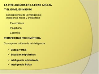 PERSPECTIVA PSICOMÉTRICA
Concepción unitaria de la inteligencia:
 Escala verbal
 Escala manipulativas
 Inteligencia cristalizada:
 Inteligencia fluida:
LA INTELIGENCIA EN LA EDAD ADULTA
Y EL ENVEJECIMIENTO
Concepciones de la inteligencia:
inteligencia fluida y cristalizada
Psicométrica
Piagetiana
Cognitiva
 