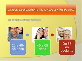 LA ADULTEZ USUALMENTE INICIA ALOS 20 AÑOS DE EDAD
20 a 40-
45 años
45 a 65
años
De 65
en
adelante
 