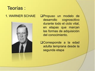 Teorías :
1. WARNER SCHAIE Propuso un modelo de
desarrollo cognoscitivo
durante todo el ciclo vital,
en etapas que marcan
las formas de adquisición
del conocimiento.
Corresponde a la edad
adulta temprana desde la
segunda etapa
 