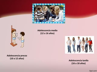 Adolescencia precoz
(10 a 12 años)
Adolescencia media
(12 a 16 años)
Adolescencia tardía
(16 a 18 años)
 