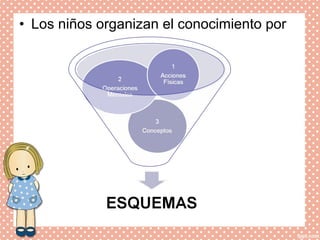 • Los niños organizan el conocimiento por
 