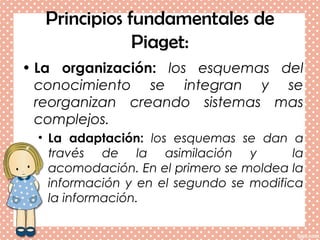 Principios fundamentales de
Piaget:
• La organización: los esquemas del
conocimiento se integran y se
reorganizan creando sistemas mas
complejos.
• La adaptación: los esquemas se dan a
través de la asimilación y la
acomodación. En el primero se moldea la
información y en el segundo se modifica
la información.
 