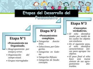 Etapa N°1
•Pensamiento no
Organizado.
• Reagrupamiento por
ensayo y error.
• Organización del
campo visual.
• Grupos rearreglados
Etapa N°2
•Pensamientos
complejos.
• Categorías Asocia-
tivas.
• Colecciones, por Cate-
gorías.
• Categorías en Cade-
na.
• Categorías Difusas.
• Categorías de Seudo-
concepto.
Etapa N°3
•Conceptos
verdaderos.
• El niño identifica
modos por medio de
los cuales los objetos
son similares.
• En el siguiente paso,
el niño identifica
características úni-
cas para agrupar los
objetos.
• El paso final el niño
hace una nueva
síntesis de sus agru-
pamientos abs-
traídos.
 