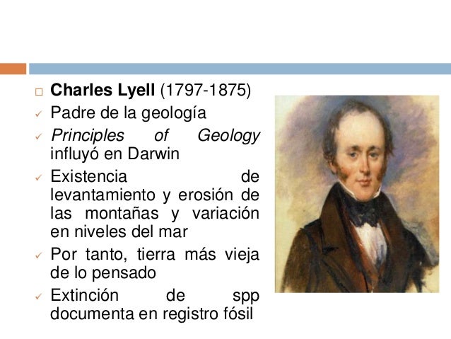 Desarrollo cronológico