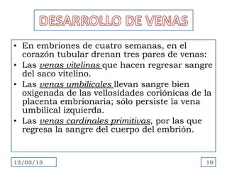 • En embriones de cuatro semanas, en el
  corazón tubular drenan tres pares de venas:
• Las venas vitelinas que hacen regresar sangre
  del saco vitelino.
• Las venas umbilicales llevan sangre bien
  oxigenada de las vellosidades coriónicas de la
  placenta embrionaria; sólo persiste la vena
  umbilical izquierda.
• Las venas cardinales primitivas, por las que
  regresa la sangre del cuerpo del embrión.


12/03/13                                      10
 