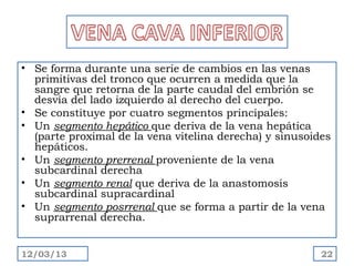 • Se forma durante una serie de cambios en las venas
  primitivas del tronco que ocurren a medida que la
  sangre que retorna de la parte caudal del embrión se
  desvía del lado izquierdo al derecho del cuerpo.
• Se constituye por cuatro segmentos principales:
• Un segmento hepático que deriva de la vena hepática
  (parte proximal de la vena vitelina derecha) y sinusoides
  hepáticos.
• Un segmento prerrenal proveniente de la vena
  subcardinal derecha
• Un segmento renal que deriva de la anastomosis
  subcardinal supracardinal
• Un segmento posrrenal que se forma a partir de la vena
  suprarrenal derecha.


12/03/13                                                 22
 