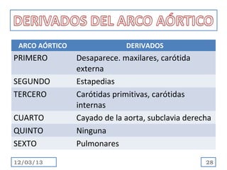ARCO AÓRTICO                DERIVADOS
PRIMERO         Desaparece. maxilares, carótida
                externa
SEGUNDO         Estapedias
TERCERO         Carótidas primitivas, carótidas
                internas
CUARTO          Cayado de la aorta, subclavia derecha
QUINTO          Ninguna
SEXTO           Pulmonares

12/03/13                                           28
 