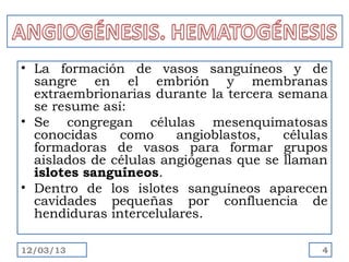 • La formación de vasos sanguíneos y de
  sangre en el embrión y membranas
  extraembrionarias durante la tercera semana
  se resume así:
• Se congregan células mesenquimatosas
  conocidas    como     angioblastos,   células
  formadoras de vasos para formar grupos
  aislados de células angiógenas que se llaman
  islotes sanguíneos.
• Dentro de los islotes sanguíneos aparecen
  cavidades pequeñas por confluencia de
  hendiduras intercelulares.

12/03/13                                      4
 
