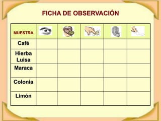 FICHA DE OBSERVACIÓN