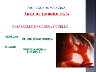 DESARROLLO DE CABEZA Y CUELLO
FACULTAD DE MEDICINA.
ÁREA DE EMBRIOLOGÍA
PROFESOR:
DR. GUILLERMO FONSECA
ALUMNO:
VARGAS MARQUINA
LUIS MIGUEL
 