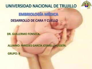 EMBRIOLOGÍA MÉDICA
DESARROLLO DE CARA Y CUELLO
DR. GUILLERMO FONSECA.
ALUMNO: PAREDES GARCÍA JOSMELL HUSSEÍN.
UNIVERSIDAD NACIONAL DE TRUJILLO
GRUPO: B
 