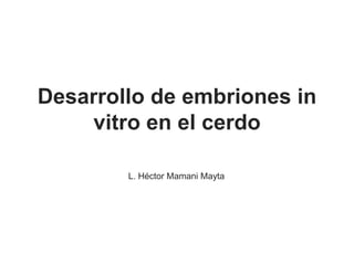 Desarrollo de embriones in vitro en el cerdo  Presentado : L. Héctor Mamani Mayta PRODUCCION DE CERDOS 