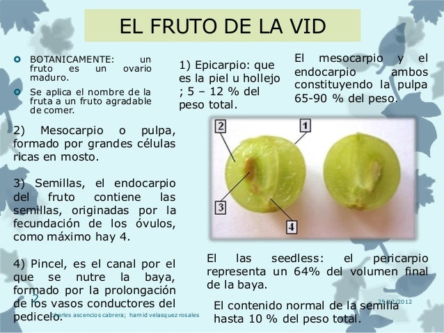 La espalda el dolor la sensibilidad