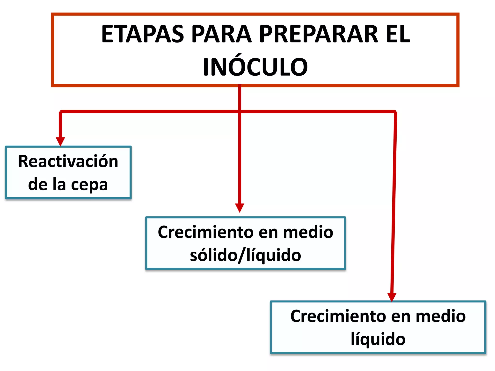 Desarrollo de inoculo | PPTX