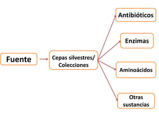 Fuente Cepas silvestres/
Colecciones
Antibióticos
Enzimas
Aminoácidos
Otras
sustancias
 