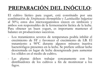 PREPARACIÓN DEL INÓCULO:
El cultivo láctico para yogurt, está constituido por una
combinación de Streptococcus thermophilus y Lactobacillus bulgaricus
al 50%; estos dos microorganismos crecen en simbiosis y
ambos son responsables de la fermentación láctica de la leche.
Para obtener un buen yogurt, es importante mantener el
balance en producciones sucesivas.
- Los tratamientos severos de temperatura podría inhibir el
crecimiento de ST y favorecer el crecimiento de LB. El
tratamiento a 90ºC durante algunos minutos inactiva
bacteriófagos presentes en la leche. Se prefiere utilizar leche
descremada en lugar de leche desengrasada para aumentar
los sólidos en el medio de cultivo.
- Las plantas deben trabajar cercanamente con los
distribuidores de los cultivos a fin de monitorear a los
fagos.
 